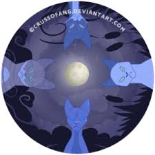 Warrior cats wallpaper bluestar ·① wallpapertag. Send Us Your Art A Salute To Starclan Warrior Cats