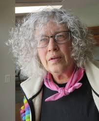 Is there swan paddle boat rental available in Algoma?