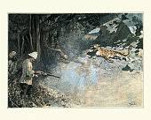 Victorian Big Game Hunter Shooting A Tiger India 19th Century High-Res Vector Graphic - Getty Images