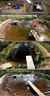 17 Family Natural Swimming Pools You Want To Jump Into Immediately Proud Home Decor Natural Swimming Pools Natural Swimming Ponds Swimming Pools
