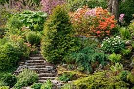 Amenagement talus sans entretien rz27 jornalagora creation comment amenager un talus aire de jeux jardin amenagement des conseils pour fleurir un talus tres pentu aux serres de Un Jardin En Pente Agencer Et Amenager Un Jardin En Pente