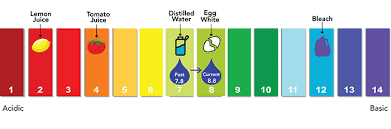 The ph level is a number that measures how acidic or alkaline a. Adjusting The Ph In Drinking Water Denver Water