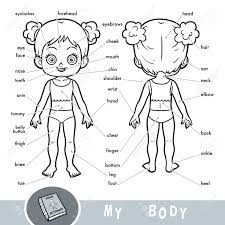 Parts of the body & five senses grade/level: Cartoon Visual Dictionary For Children About The Human Body My Body Parts For A Girl Royalty Free Cliparts Vectors And Stock Illustration Image 94695624