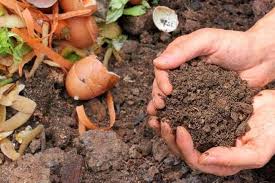 Check spelling or type a new query. Food Waste Recycling Through Composting And Animal Feed Outside2inside