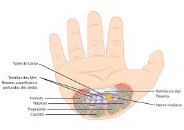 Image result for karp ln  tunel ort za