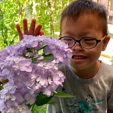 Dexter and friends were featured on...