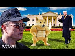 How Pokémon helps explain DOGE