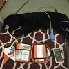 Story image for Best Pet Supplies Pet Muzzles For Sale from Eureka Times Standard