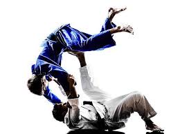 객석유도등은 객석의 통로, 바닥 또는 벽에 설치. Judokas ì „íˆ¬ê¸° ì‚¬ê°ì˜ ë‚¨ì„±ìš© ì‹¤ë£¨ì—£ ìŠ¤í†¡ ì‚¬ì§„ Arts Martiaux Art Martiaux Japonais Dessin Judo