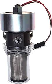 Image result for Hypoxis sp. A (as per FZ 12-3)