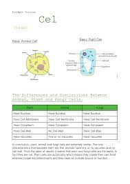 Animal cell vs plant cell vs fungal cell. Cell Visual Diary