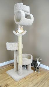 Cattree Cat Condo Cat Tree Cat Tree Plans