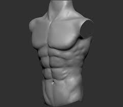 In this article, we shall learn about the anatomy of the muscles of the anterior chest. Artstation Male Chest Anatomy Practice Tomas Sosto