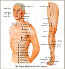 illustration for stomach meridian foot yangming chinese