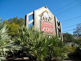 We did not find results for: Lowry Park Zoo Offers Unique Summer Camp For Tampa Bay Area Children Seminole Heights Fl Patch