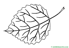Hojas De Arbol Para Colorear