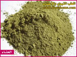 الحناء الطب النبوي والاعشاب