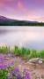Beautiful Desktop Nature Backgrounds