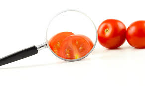 L'intolleranza alimentare è diversa dall'allergia. Le Allergie E Le Intolleranze Alimentari Cosa Sono E Come Si Manifestano Sapere It