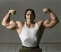He further developed it to be one of the next most amazing chests on the bodybuilding stage in the 70s and 80s. 5 Biceps Workout Will Give You Muscle Size Fitness Bodybuilding Gym Mo Arnold Schwarzenegger Bodybuilding Schwarzenegger Bodybuilding Bodybuilding Pictures