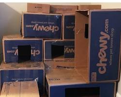 cat playing in a cardboard box tunnelの画像