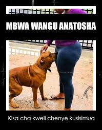 Ntombe thongo from port st john's eastern cape south africa is a musician genre maskhanda. Simulizi Murua Mbwa Wangu 1 Kisa Cha Kweli Chenye Facebook