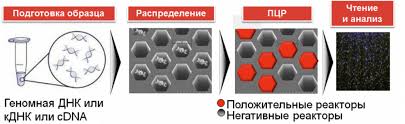 Combine lab id,flight pass or id/passport with other field/s. Pcr Cifrovaya Diaem