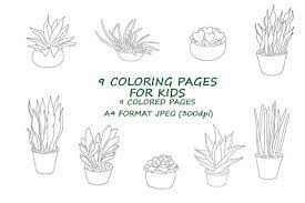 There are many different types, species, and cultivars of them all, in a fascinating assortment of shapes, sizes, colors, and unique features ranging. 9 Succulent Plant Coloring Pages For Kid Graphic By Lisart Creative Fabrica