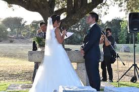 Calvin Shek Photography