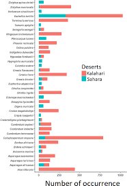Image result for Indigofera daleoides