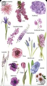 Pin By Nadee Basnayake On Flowers Light Purple Flowers Flower Names Amazing Flowers
