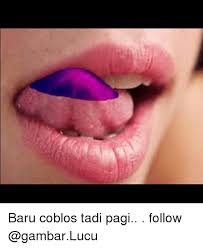 Pin Di Gambar Lucu