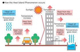 What Is The Heat Island Effect Green Ribbon