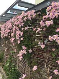 Sichtschutzzaun Haselnusszaun Sichtschutzzaun Haselnusszaun Flechtzaun Zaun Aus Haselnuss Naturbelassene Dic In 2020 Pool Landscaping Different Plants Garden Decor