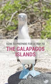 It Is Important To Be Prepared For A Trip To The Galapagos Islands Here Are My Top Tips On How To Prep Galapagos Islands Travel South America Travel Galapagos