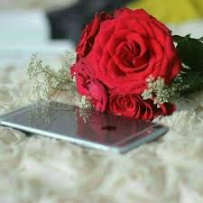 Download this alphabet capital letter z made from red rose blossoms photo now. Pin On Fashion Dresses