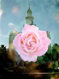 Maybe you would like to learn more about one of these? Saint George Utah Temple Jessica Parker Print Shop