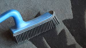 1 hundehaare entfernen muss nicht schwer sein. Tierhaare Von Polstern Teppichen Mit Gummibesen Entfernen