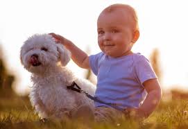 Wenn ihr hund an einer futtermittelallergie leidet, bedeutet das, dass der giardien beim hund: Hat Mein Kind Wurmer Parasiten Bei Kindern Erkennen Und Behandeln Babyartikel De Magazin