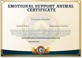 Bbb.org accredited · over 5k verified reviews · same day letters Offcial Esa Registration Esa Service Animal Registry
