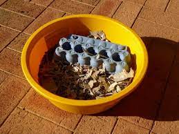 Pet rat tunnel and hammock toy this is extremely easy to do, and not only fun for your rats but also a beautiful way of decorating their cage. 7 Easy Diy Rat Toys To Enrich Your Rats Lives Animallama