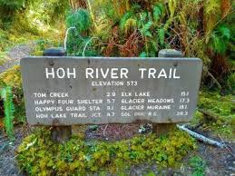 Everything You Need To Know To Plan The Best Visit To The Hoh Rainforest In Olympic National Park Arches National Park Utah Utah National Parks National Parks