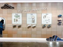 Image Result For Allbirds Store World S Most Comfortable Shoes Most Comfortable Shoes Allbirds