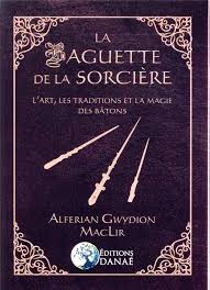 Ebook (electronic book) = livre (ou encore livre numérique) que vous pouvez télécharger gratuitement sur pc. La Langue Des Oiseaux A La Recherche Du Sens Perdu Des Mots Baudoin Burger Louise Courteau Grand Format Place Des Libraires