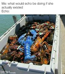 It is blue lobster. My favorite hero : r/Overwatch_Memes