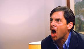 WHERE ARE THE TURTLES? Where are they? : r/DunderMifflin