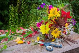 This link is to an external site that may or may not meet accessibility. Espoma 5 Reasons To Start A Cutting Garden Espoma