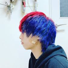 けーた はinstagramを利用しています 色変えた 赤と青 派手髪 ヘアカラー 赤色 青色 赤髪 青髪 ブリーチ マニパニ 美容学生 ヘアカラー 派手髪 赤 髪