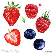 Watercolor Food Clipart Berries Fruit Illustration Watercolor Food Flower Drawing