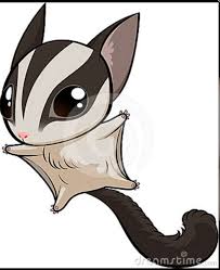 Sugar Glider Tattoo Google Search Sugar Glider Sugar Glider Baby Gliders